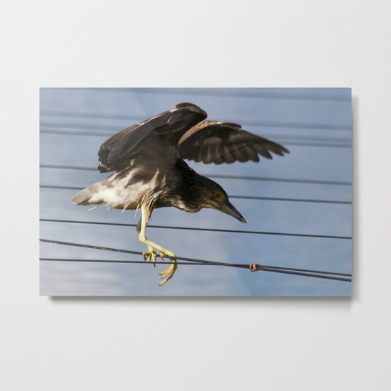 Touchdown Metal Print