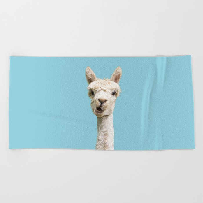 Cute white alpaca portrait on blue sky background Beach Towel