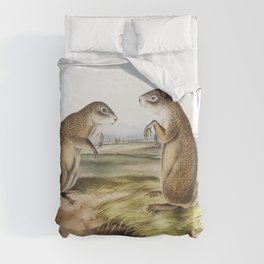  Marmot Squirrel  from the viviparous quadrupeds of North America  illustrated by John Woodhouse Audubon Duvet Cover