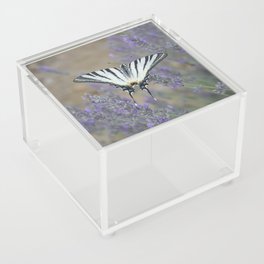 Elegant Swallowtail On Lavender Spike Photograph Acrylic Box