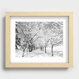 Light Through Snow Covered Trees, B&W Recessed Framed Print