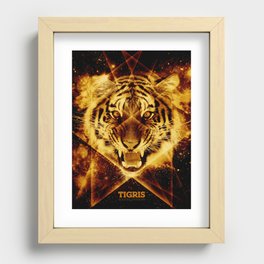 Tigris Beautiful Symmetry Recessed Framed Print
