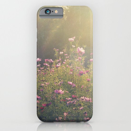 Cosmos in the Late Day Sun iPhone & iPod Case