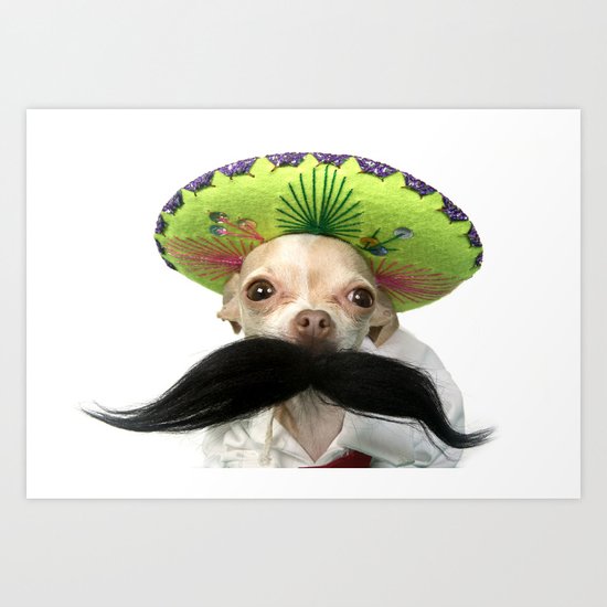 mexican chiwawa