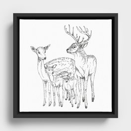 deer family Framed Canvas