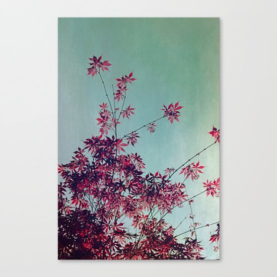 Red Leaves Canvas Print