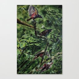 dropping in Canvas Print