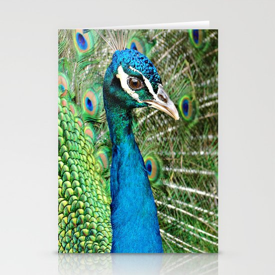 Peacock Stationery Cards