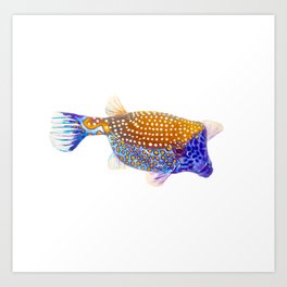 Saltwater Fish Art Prints For Any Decor Style Society6