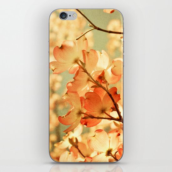 Vintage Pink iPhone & iPod Skin