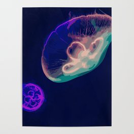 Jellyfish Colored Paint by Numbers Poster