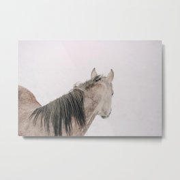 Watching It Snow Metal Print | Horsephotograph, Animalart, Animal, Bohoart, Winterprint, Horse, Snowart, Color, Winterart, Animalprint 