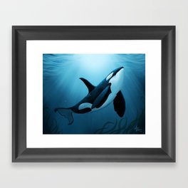 "The Dreamer" by Amber Marine ~ Orca / Killer Whale Art, (Copyright 2015) Framed Art Print