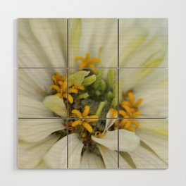 Zinnia Macro Photography of The Flower Center Wood Wall Art
