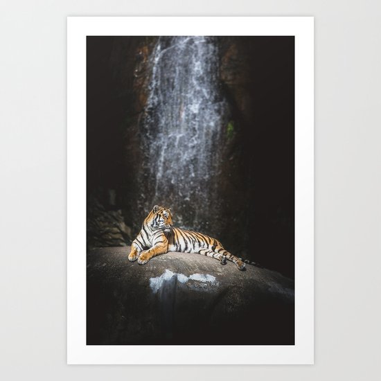 Big cat Art Print