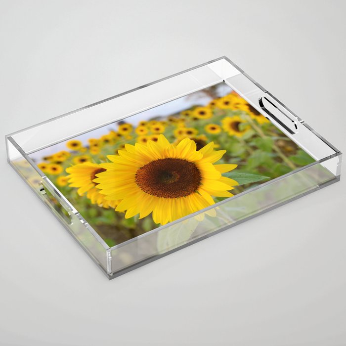 Sunflower Field Acrylic Tray