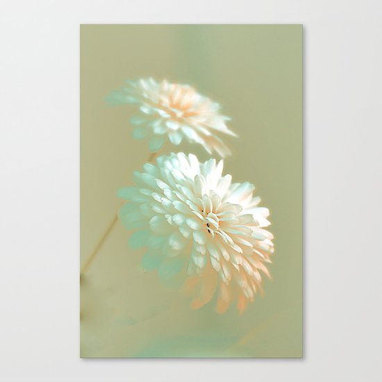 Chrysanthemum(sunshiny) Canvas Print