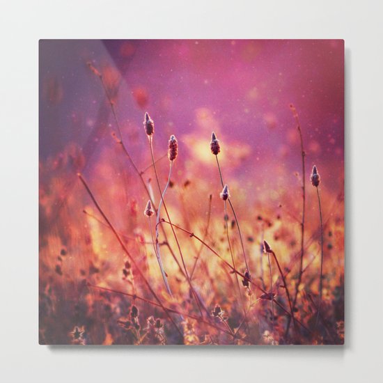 the perfect day Metal Print