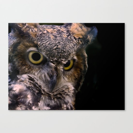 Owl Canvas Print