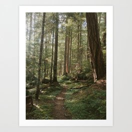 Wonderland Forest Trail Art Print