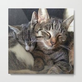 Cats Metal Print