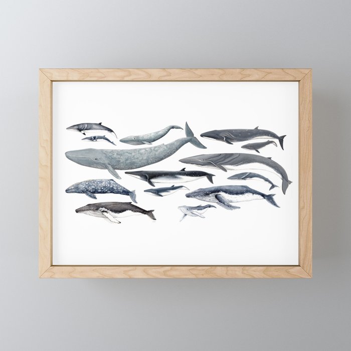 Whale diversity Framed Mini Art Print