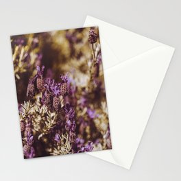 french lavender garden Stationery Card