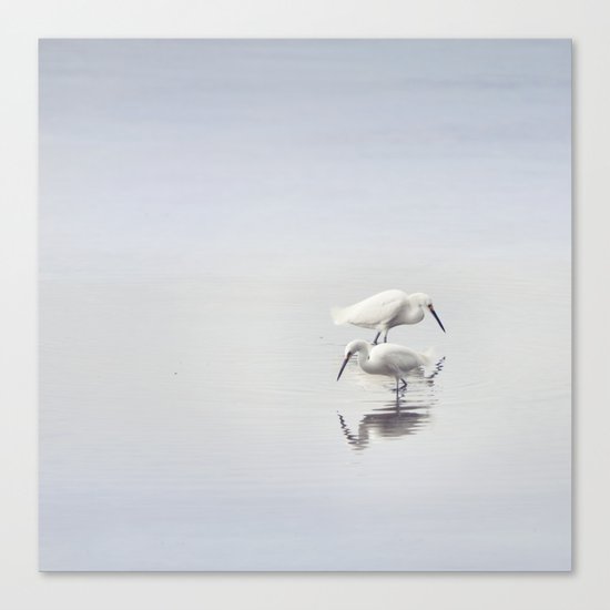 Egret Dance Canvas Print
