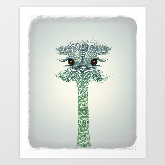 Ostrich  Art Print