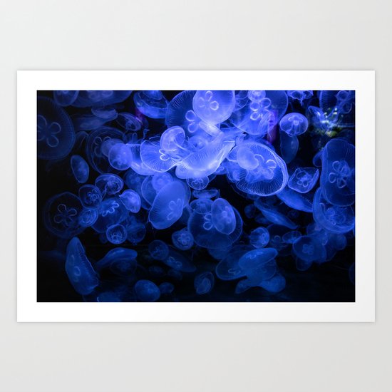 Jellyfish Art Print