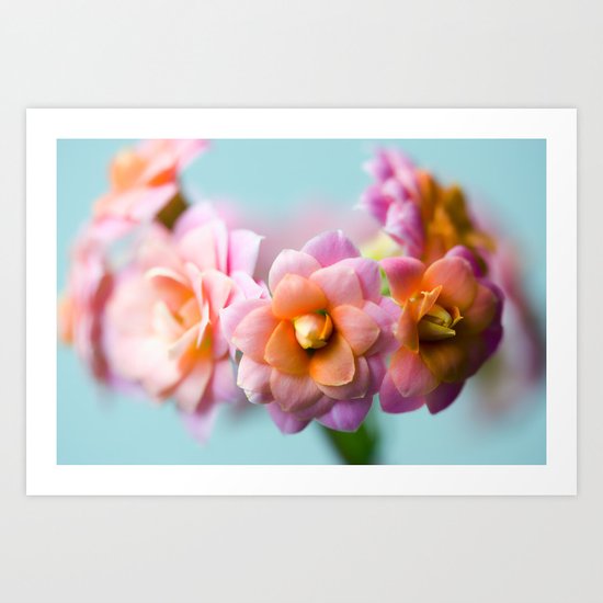 FLOWERS MACRO NATURE 2 Art Print