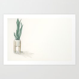 Potted Plant in White Space Art Print
