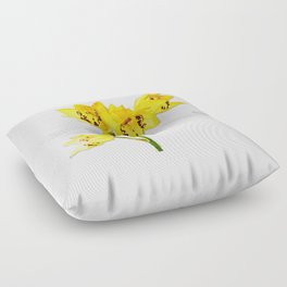 Yellow Orchid Flowers On White by Sharon Cummings Floor Pillow
