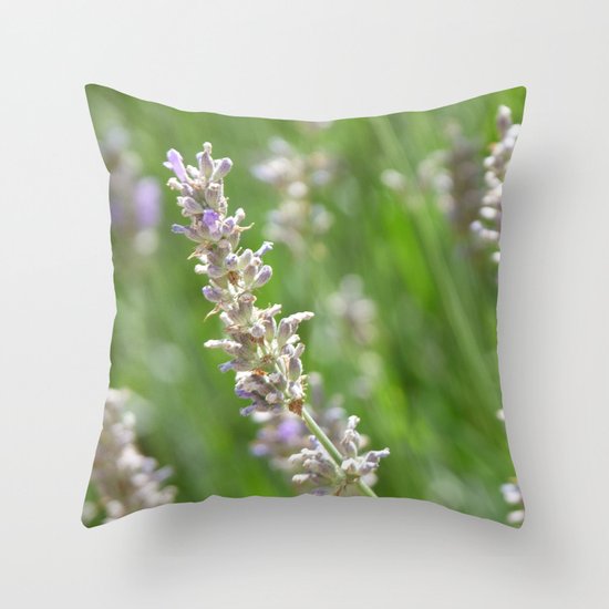 Lavanders 2 Throw Pillow
