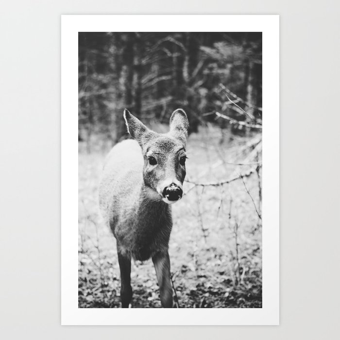 deer. Art Print