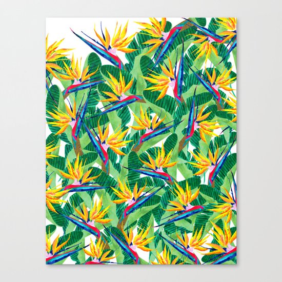 Summer Strelitzia Canvas Print
