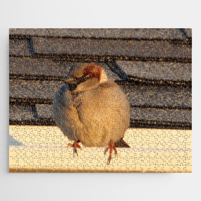 Bird on the Roof Jigsaw Puzzle