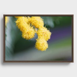 Macrophotography Framed Canvas