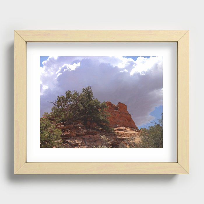 Dwarf Cedar, Navajo National Monument, Northern Arizona 2013 Recessed Framed Print
