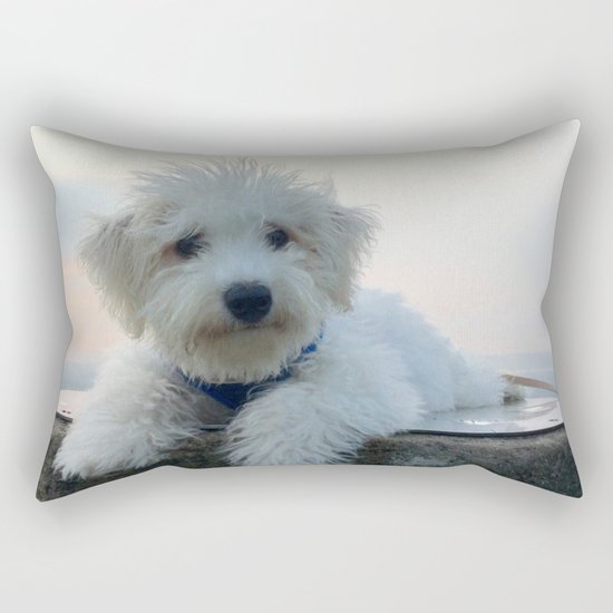 Teddy At Sunset Rectangular Pillow