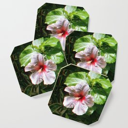 Hawaiian Flower Coaster