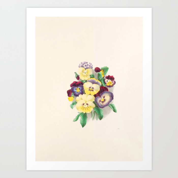  Pansies by Clarissa Munger Badger, "Floral Belles," 1866 (benefitting The Nature Conservancy) Art Print