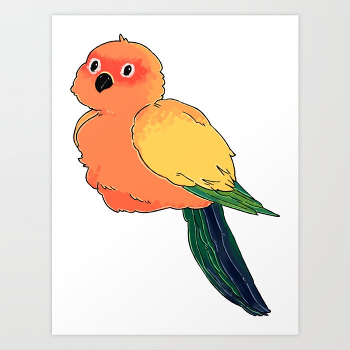 Fluffy Sun Conure Ball Art Print By Kenneduck Society6,What Is A Pergola With A Roof Called