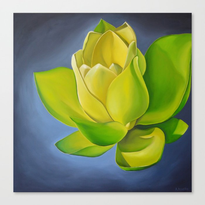 Blooming Lotus Canvas Print