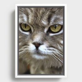 Stunning Grey Cat Pet Artistic Portrait Framed Canvas