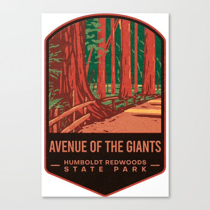 Redwoods State Park Canvas Print