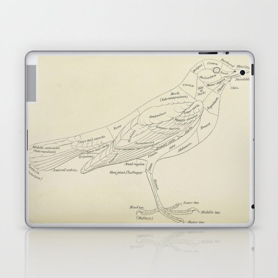 Bird Anatomy Laptop & iPad Skin