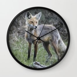 Early Morning Encounter with a Fox, No. 1. Wall Clock