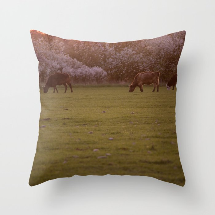 pillow pets cows
