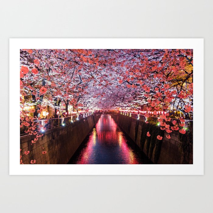 Tokyo Chery Blossom Art Print